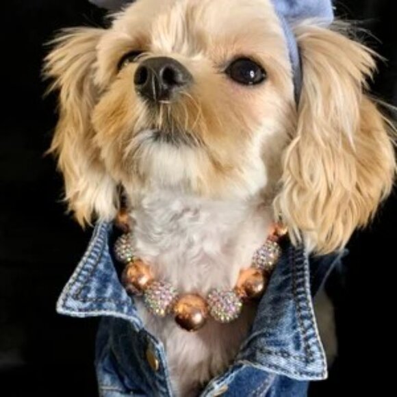 Rosey (11", 13") - Pet Necklace - Pet Accessories - Picture 3 of 4